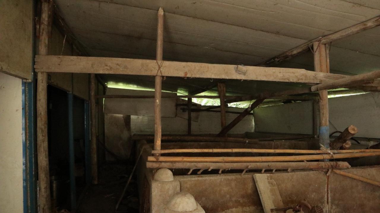 BIM建筑|在半山崖的废弃鸡棚，用峰峦“盖”一座共享工厂 / 时地建筑