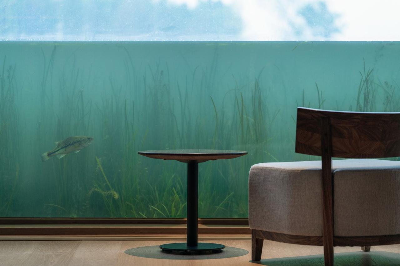 BIM建筑|成都兴隆湖中信书店 / MUDA 慕达建筑