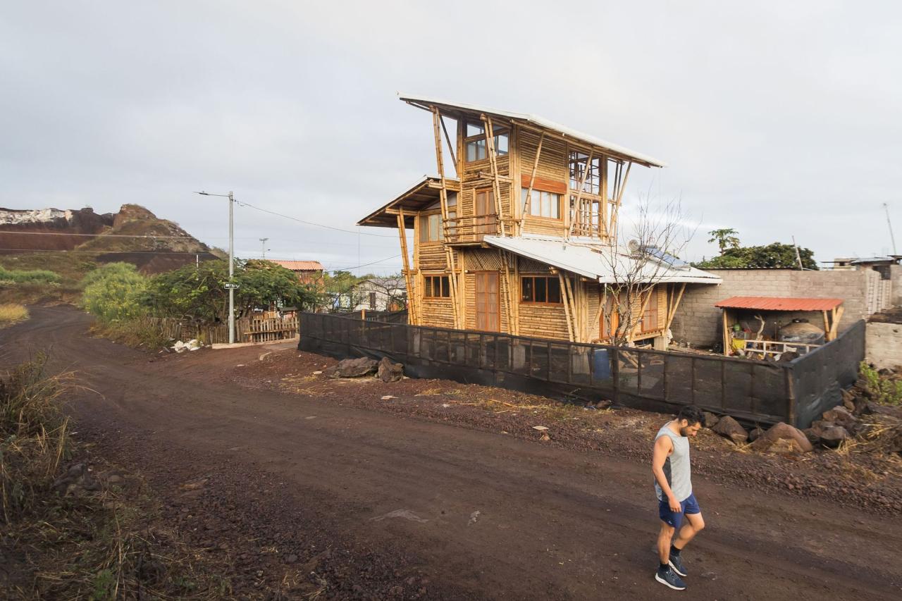 BIM建筑|地域性住宅 / ESEcolectivo