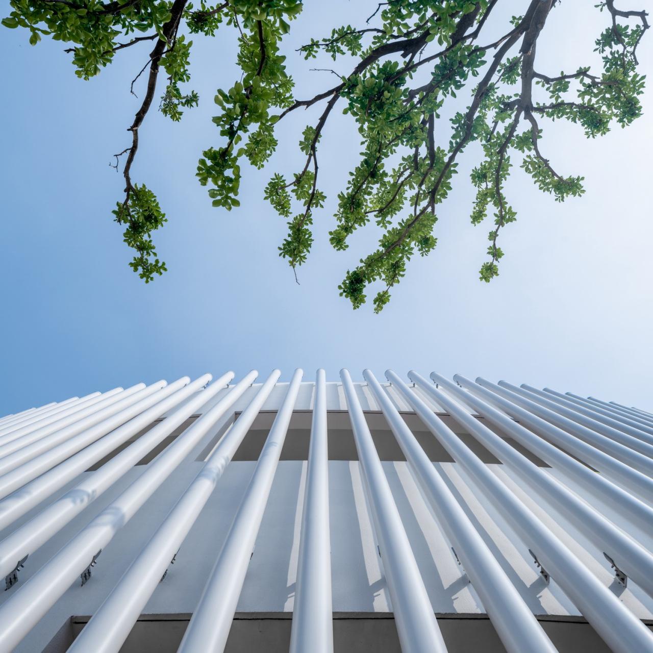 BIM建筑|维度的转移：凤西小学 / 米丈建筑