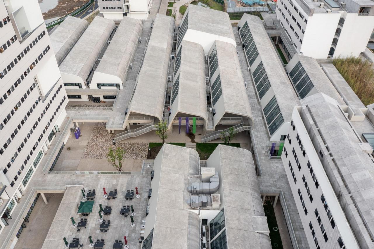 BIM建筑|中国美术学院良渚校区 / 非常建筑