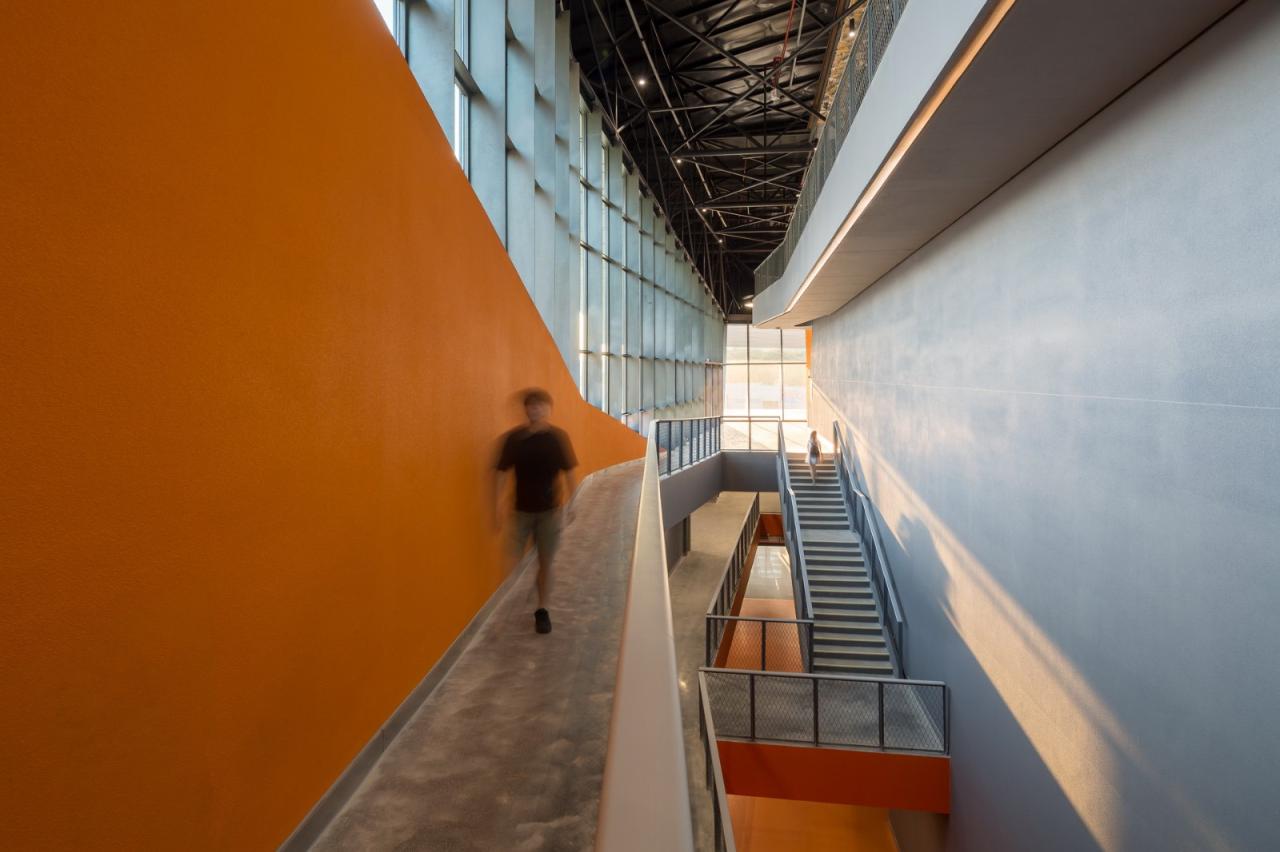 BIM建筑|南方科技大学体育馆 / URBANUS都市实践