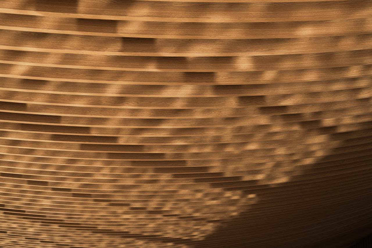 BIM建筑|成都兴隆湖中信书店 / MUDA 慕达建筑