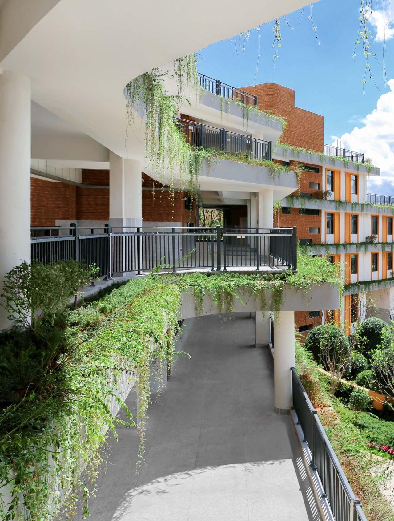 BIM建筑|云南玉溪高新小学 / Oneself Alliance