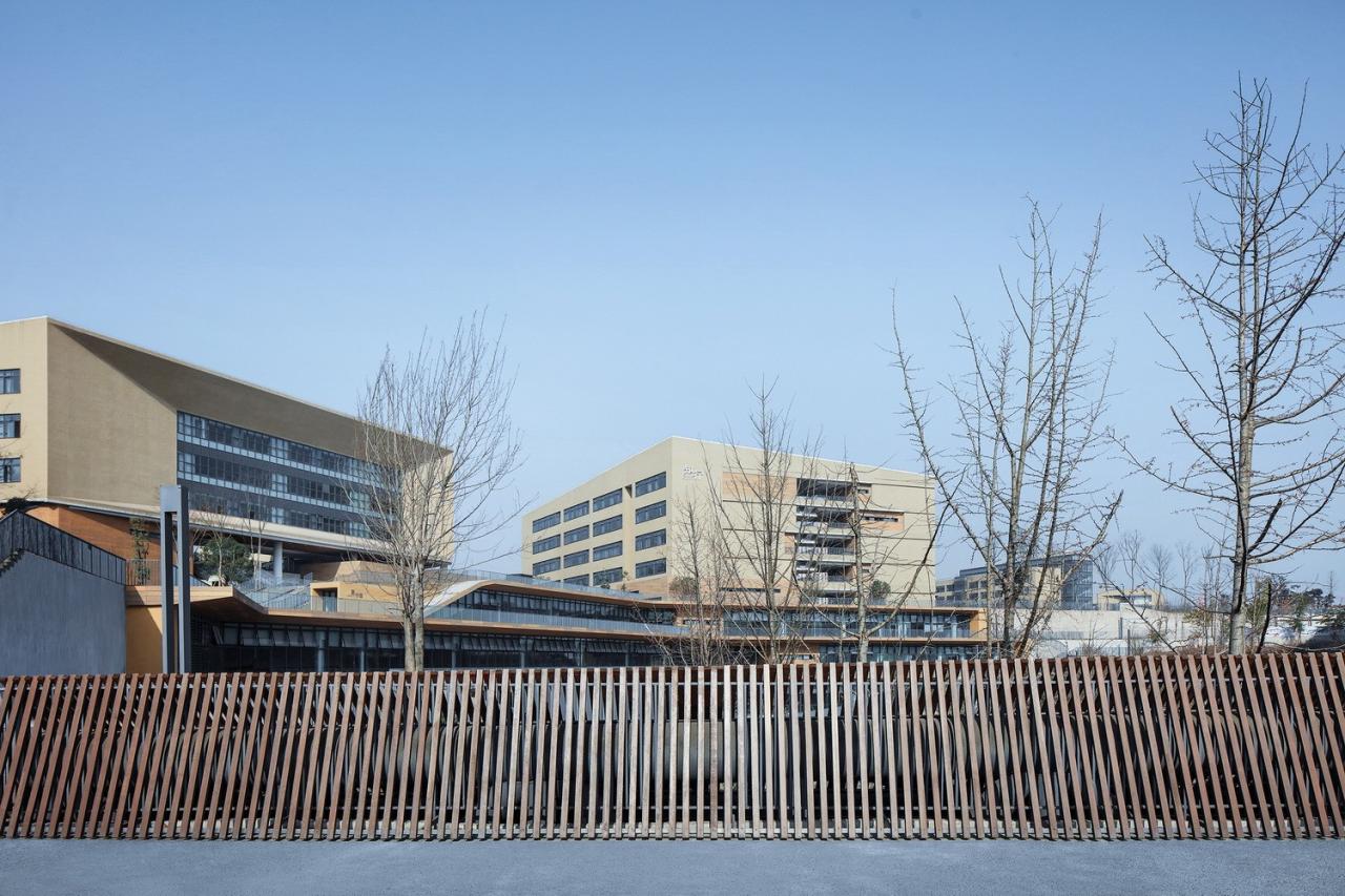 BIM建筑|西南大学附属中学两江校区：消失的高密度校园 / gad