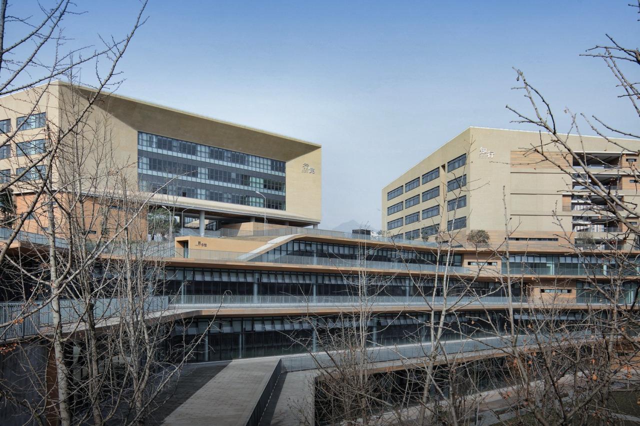 BIM建筑|西南大学附属中学两江校区：消失的高密度校园 / gad