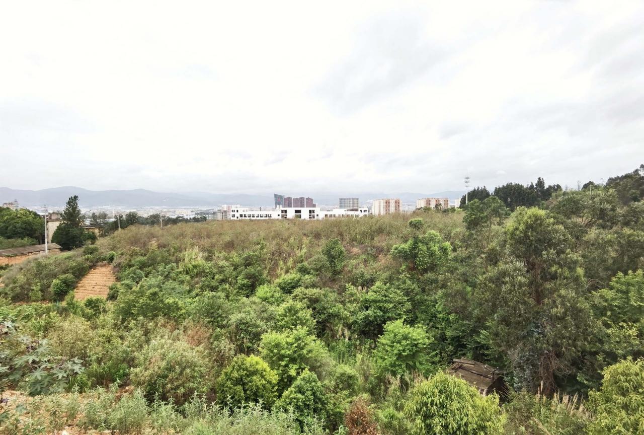 BIM建筑|云南玉溪高新小学 / Oneself Alliance