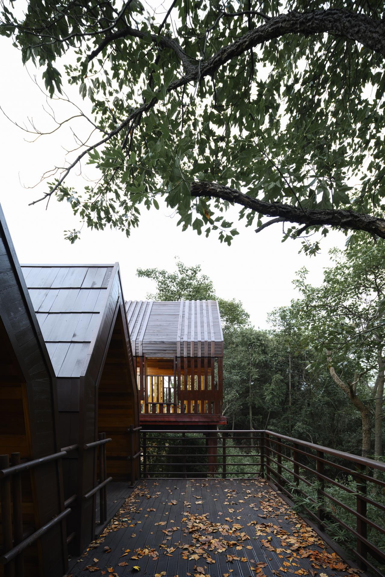 BIM建筑|木屋小镇：岛屿 · 丛林 · 小木屋，九江 / 平介设计