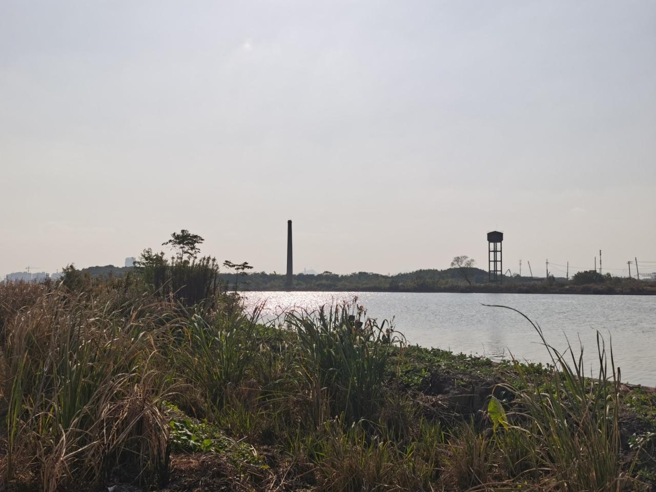 BIM建筑|绍兴黄酒小镇会客厅 / gad