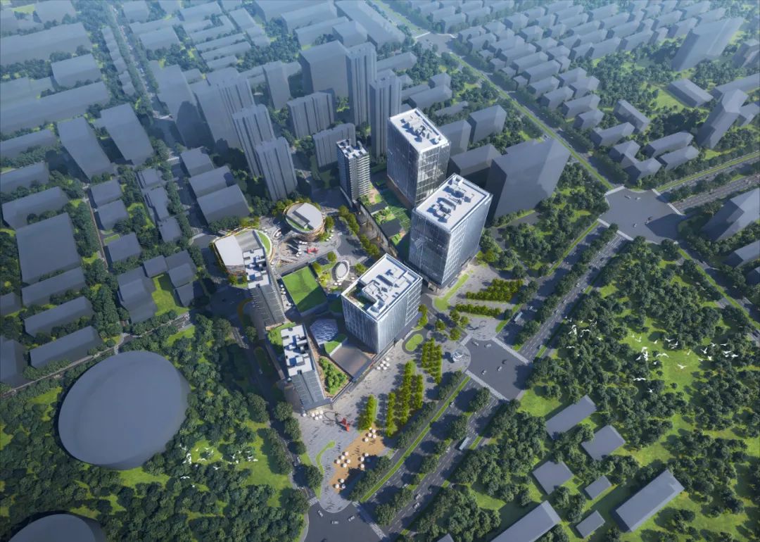 WAFC X α大会｜可持续智慧城市转型