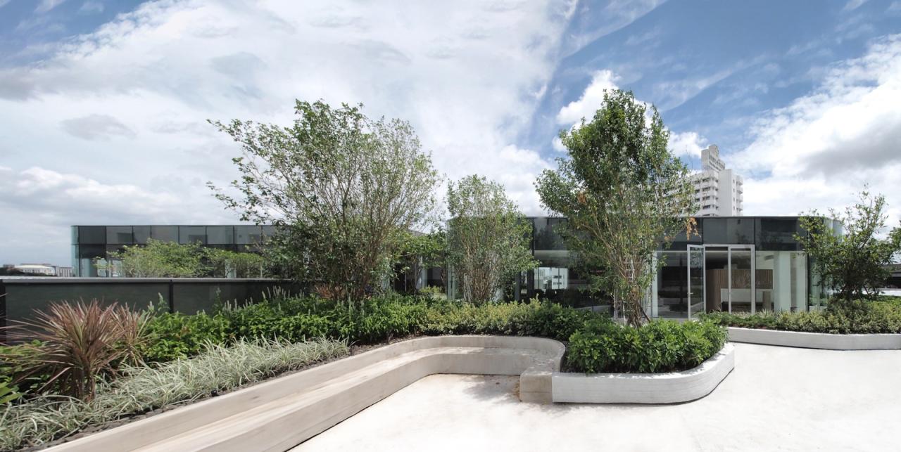 BIM建筑|丰田汽车泰国营销办公综合体 / ASWA