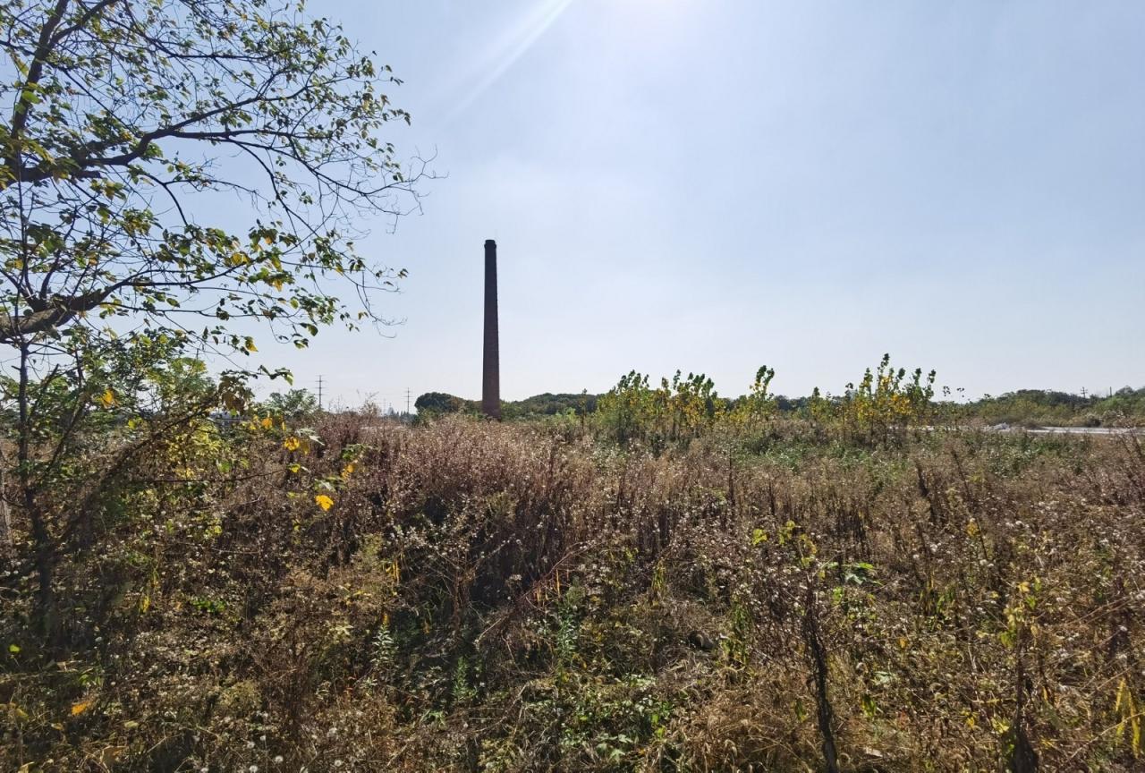 BIM建筑|绍兴黄酒小镇会客厅 / gad