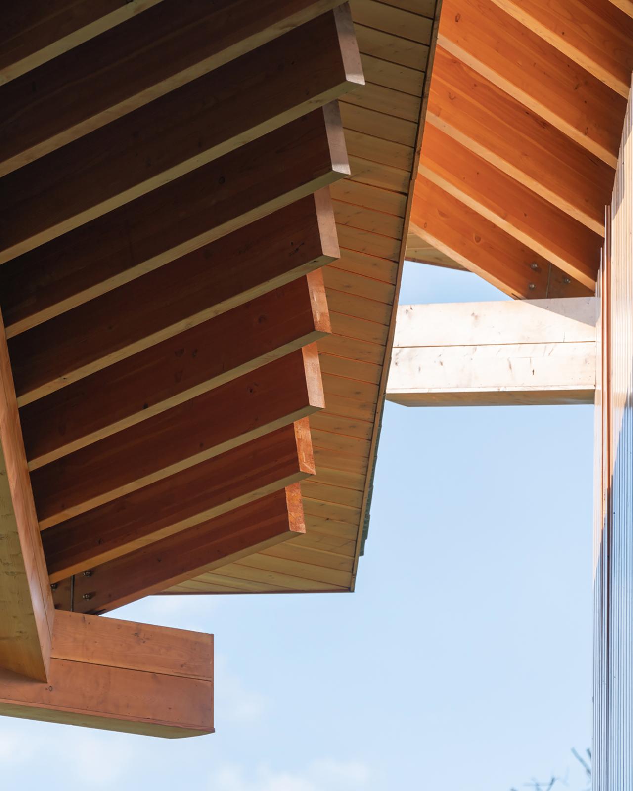 BIM建筑|富阳·阳陂湖湿地接待中心 / 尌林建筑设计事务所