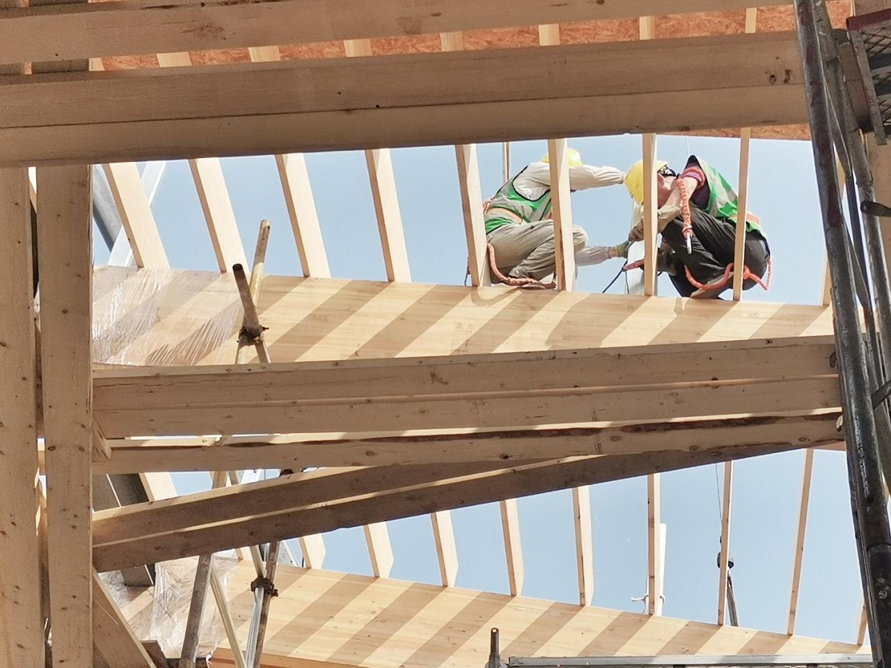 BIM建筑|木构建造设计一体化 l 宜宾白兰美学馆：建筑如何在地生长？