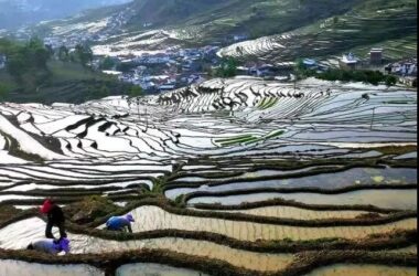 BIM建筑|虽偏远 理想必致！在西昌卫星发射基地大凉山建一座“探索者幼儿园” / 迪卡建筑设计中心-BIM建筑网