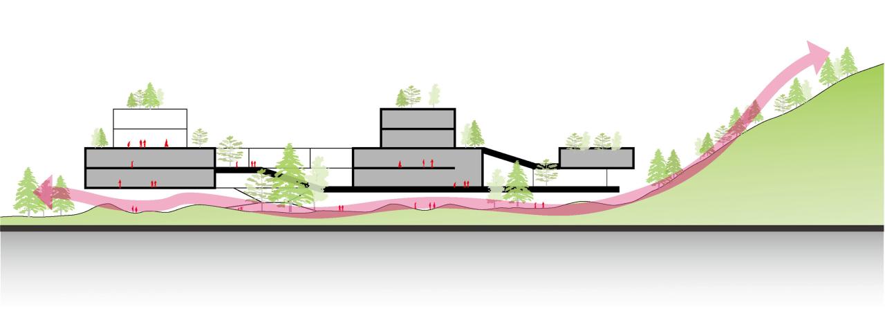 BIM建筑|山间学堂：深圳市第三十三高级中学（中标候选方案） / 上海华都建筑规划设计有限公司