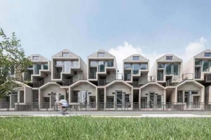 BIM建筑|宠物酒店：犬舍 / 高目建筑