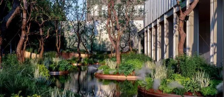 WAFC X α大会｜可持续智慧城市转型