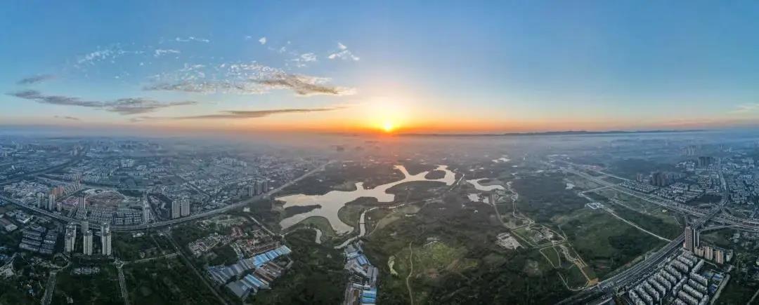 WAFC X α大会｜可持续智慧城市转型