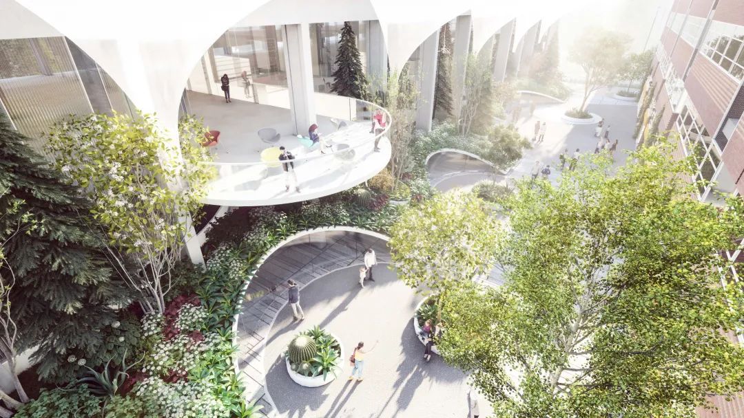 WAFC X α大会｜可持续智慧城市转型