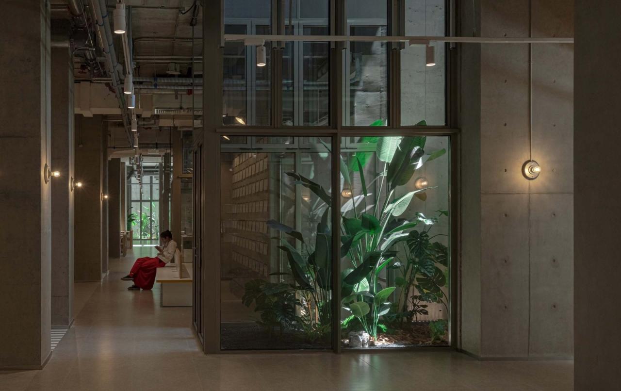 BIM建筑|宠物酒店：犬舍 / 高目建筑