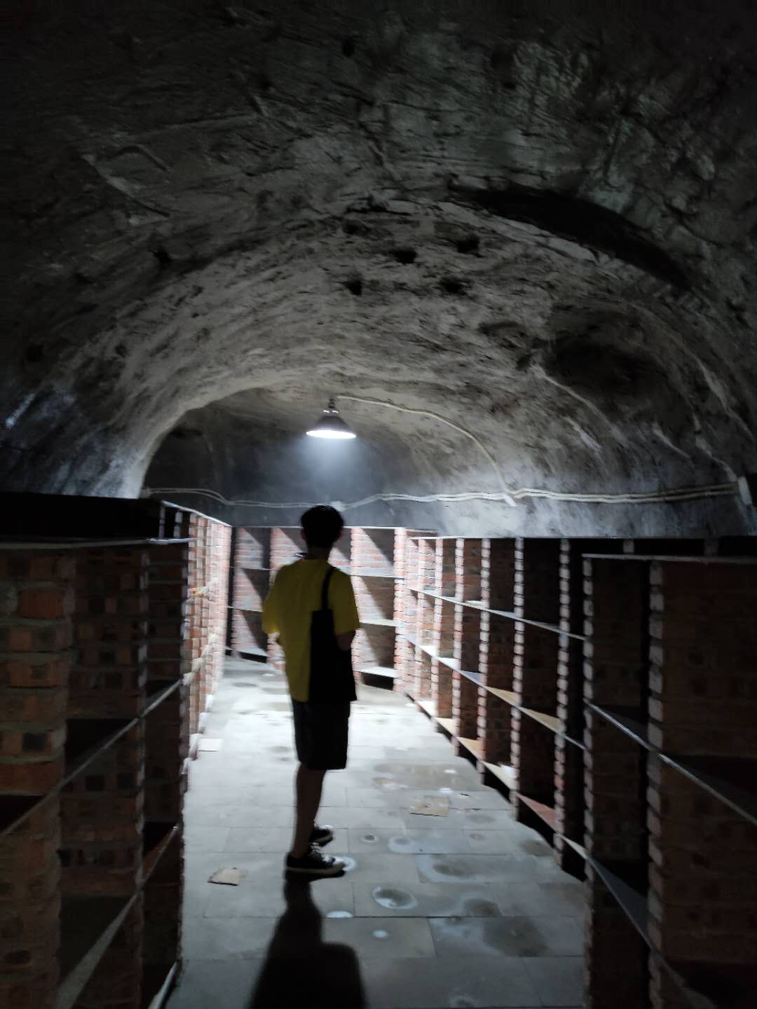 BIM建筑|Caver-防空洞里的酒吧 / itD studio