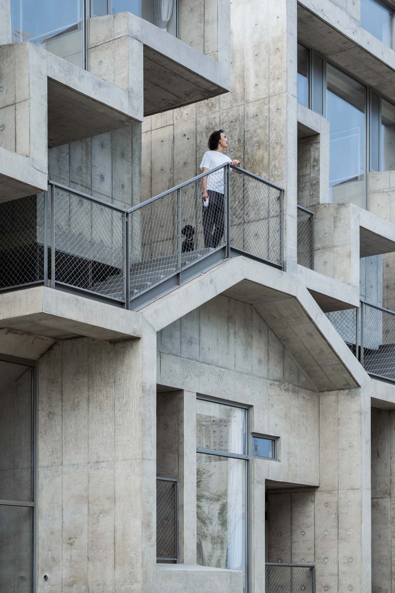 BIM建筑|宠物酒店：犬舍 / 高目建筑