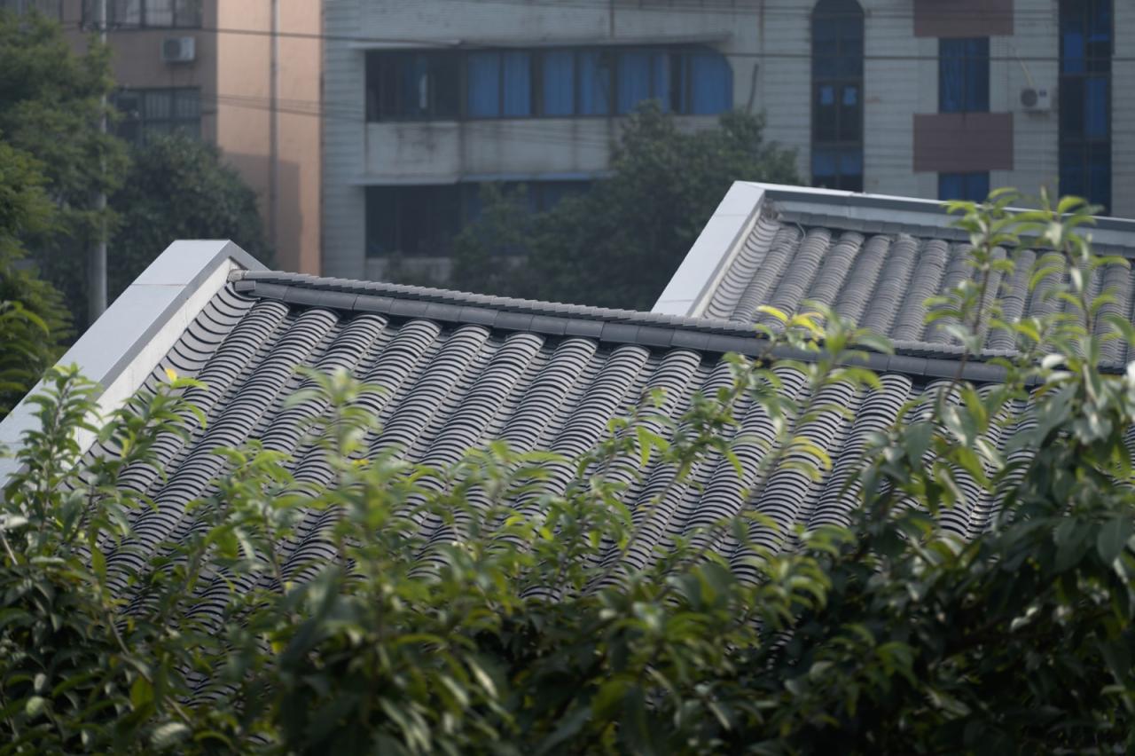 BIM建筑|邛崃美术馆 / 相对建筑