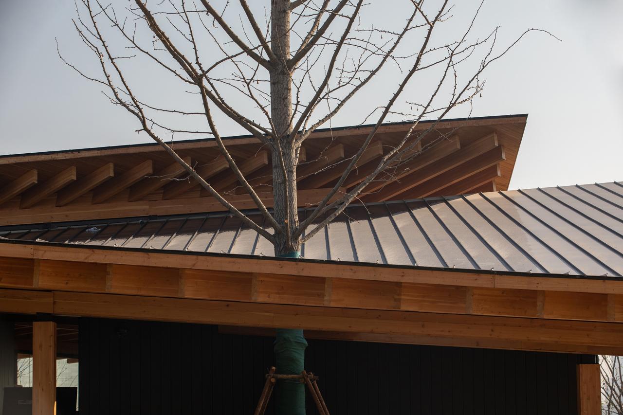 BIM建筑|富阳·阳陂湖湿地接待中心 / 尌林建筑设计事务所