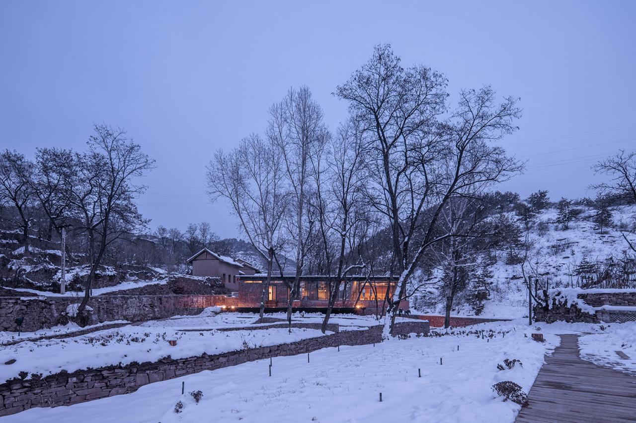 BIM建筑|与树和老土墙共生——军械库咖啡 / 三文建筑