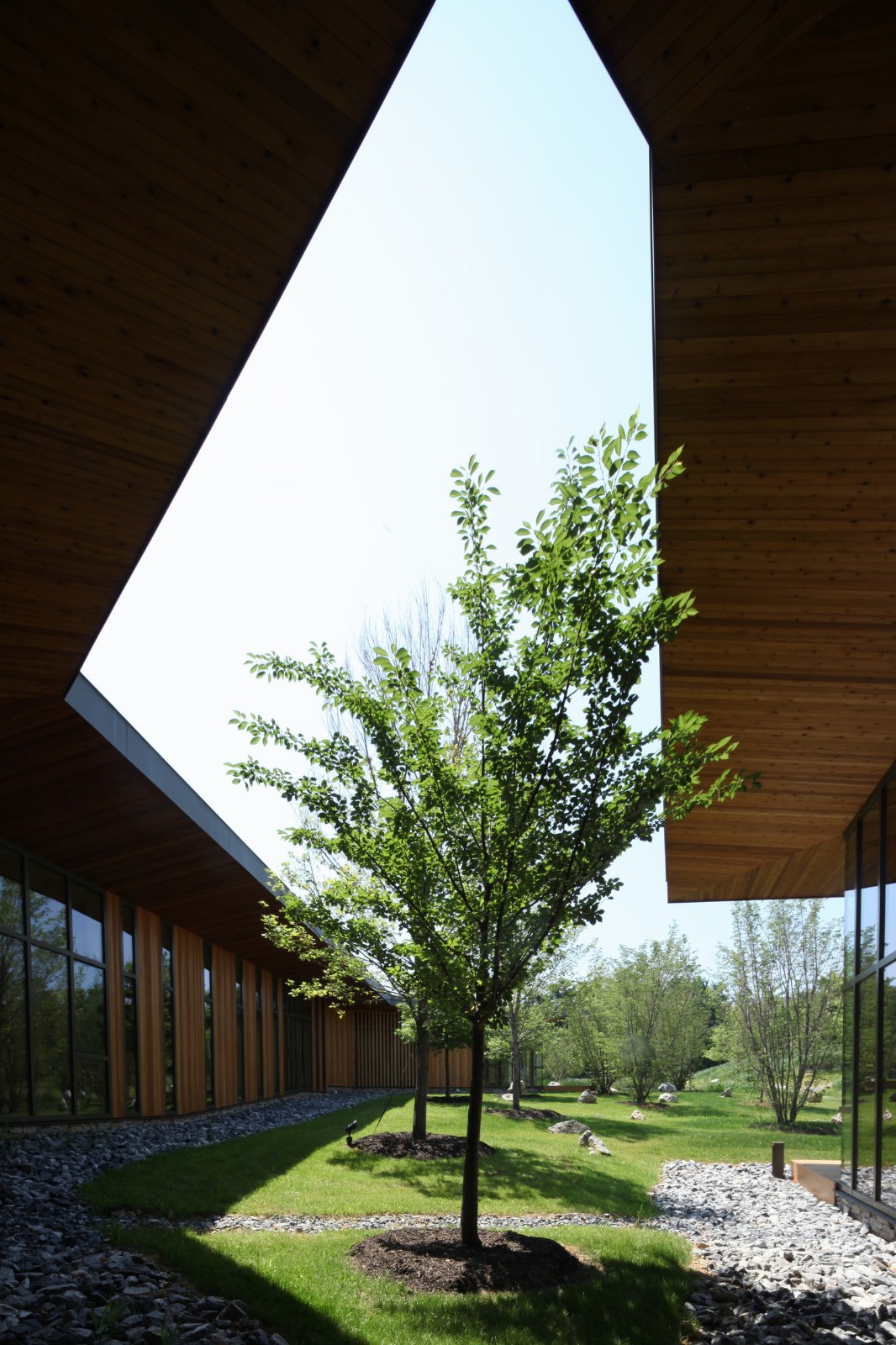 BIM建筑|树建筑：JST 哈里斯堡生产工程中心 / 芦泽龙一事务所 & Arcari + Iovino Architects