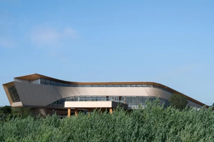 BIM建筑|木构建造设计一体化 l 宜宾白兰美学馆：建筑如何在地生长？