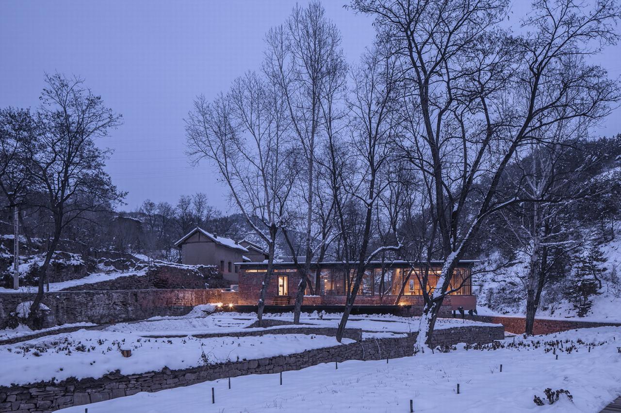 BIM建筑|与树和老土墙共生——军械库咖啡 / 三文建筑