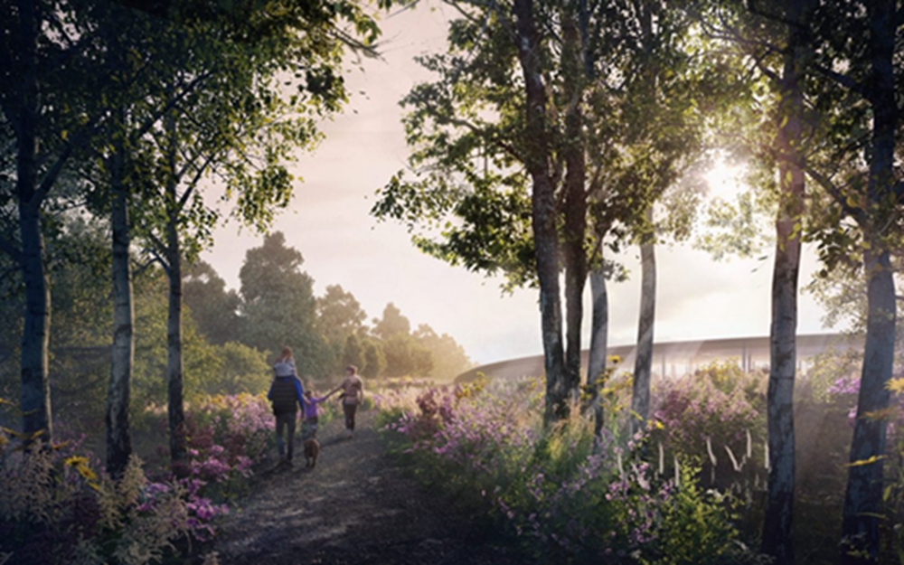 BIM建筑|福斯特在肯特郡建有弯曲绿色屋顶的酒庄