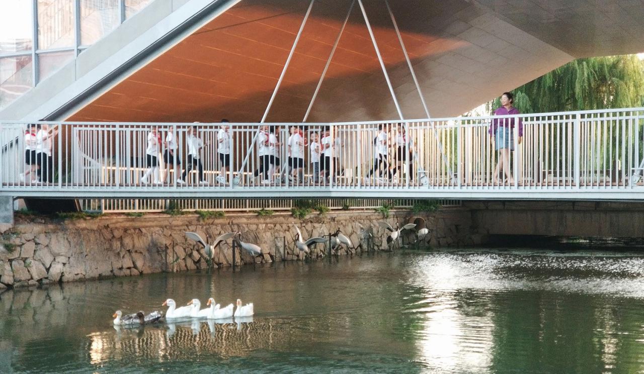 BIM建筑|桥上教学楼 - 盐城外国语学校创新中心 / 普泛建筑