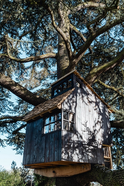 BIM建筑|塞巴斯蒂安·考克斯在英国乡村建造树屋