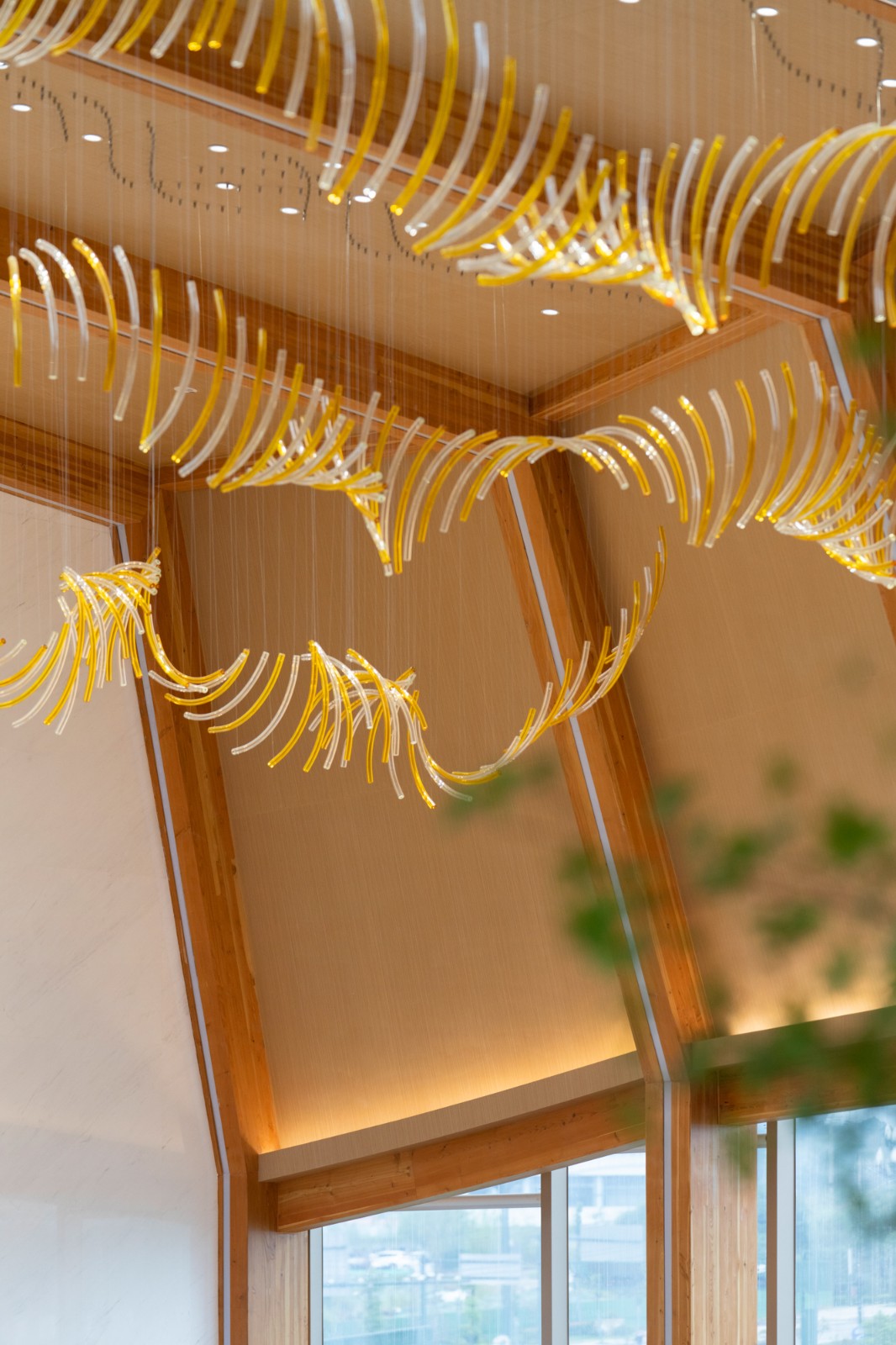 BIM建筑|木构建造设计一体化 l 宜宾白兰美学馆：建筑如何在地生长？