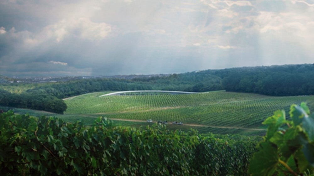 BIM建筑|福斯特在肯特郡建有弯曲绿色屋顶的酒庄