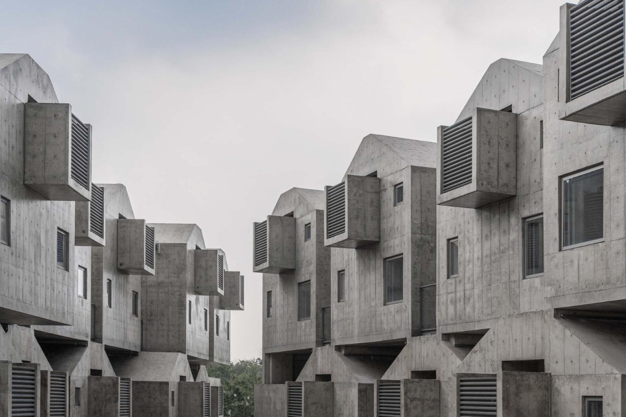 BIM建筑|宠物酒店：犬舍 / 高目建筑