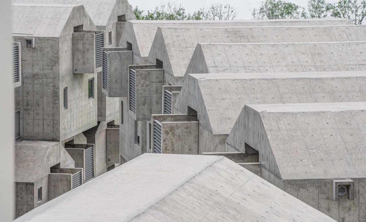 BIM建筑|宠物酒店：犬舍 / 高目建筑