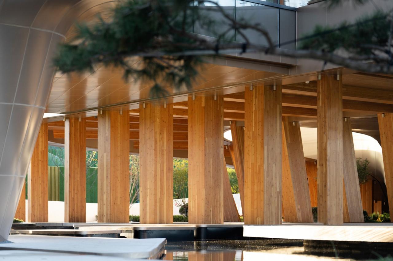 BIM建筑|木构建造设计一体化 l 宜宾白兰美学馆：建筑如何在地生长？