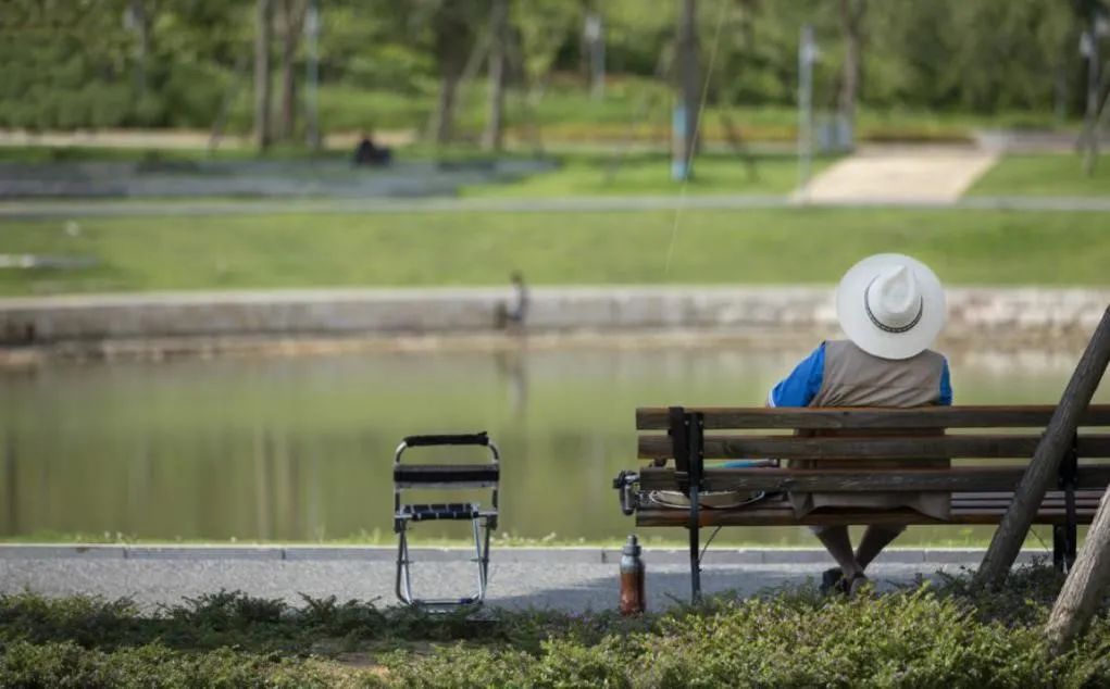 WAFC X α大会｜可持续智慧城市转型