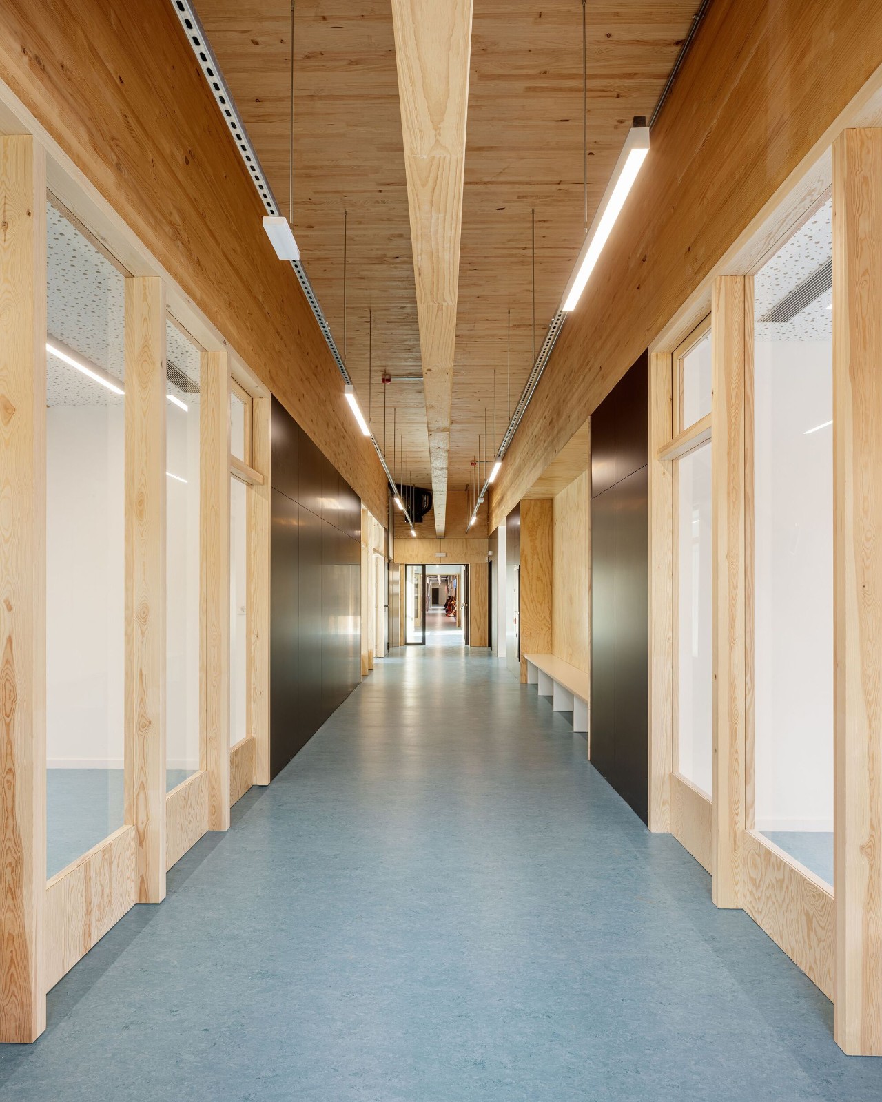 BIM建筑|小学扩建：Mar Bella 学校 / SUMO arquitectes