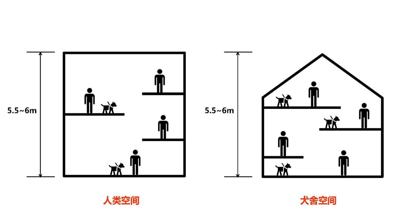 BIM建筑|宠物酒店：犬舍 / 高目建筑