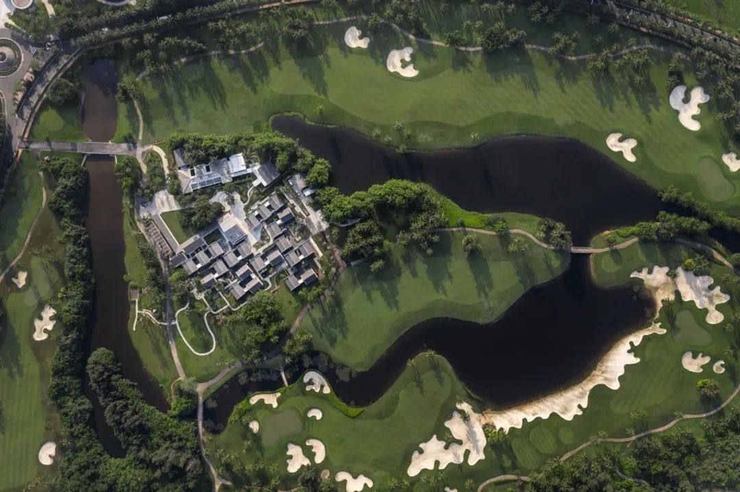 WAFC X α大会｜可持续智慧城市转型