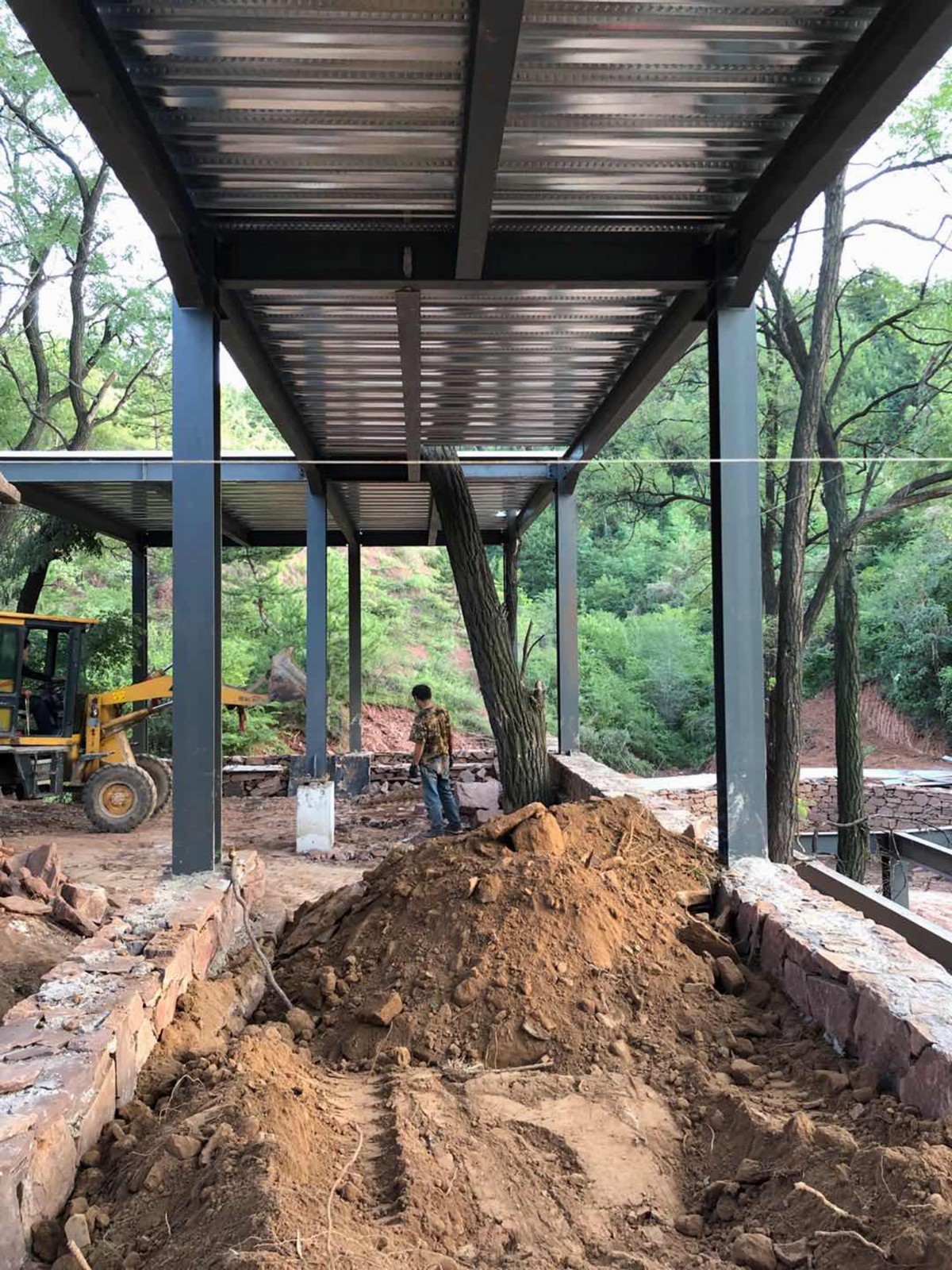 BIM建筑|与树和老土墙共生——军械库咖啡 / 三文建筑