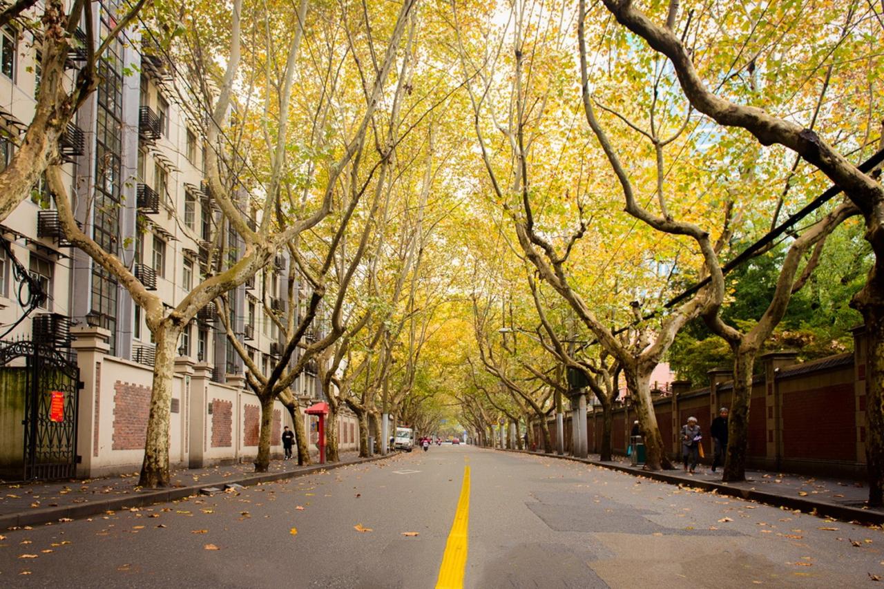 BIM建筑|愚园路“头部”地块即将焕发新生 / 三益中国