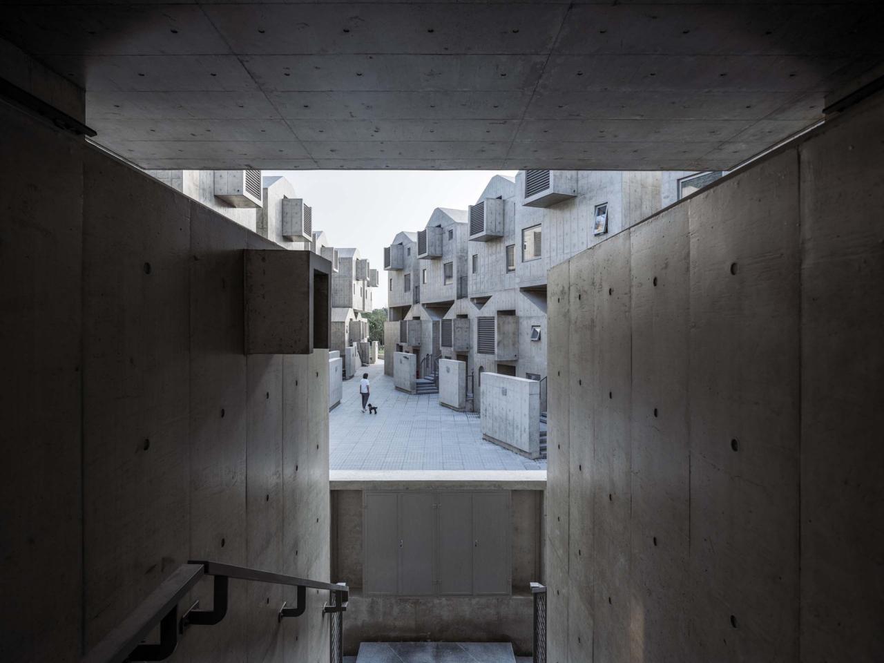 BIM建筑|宠物酒店：犬舍 / 高目建筑