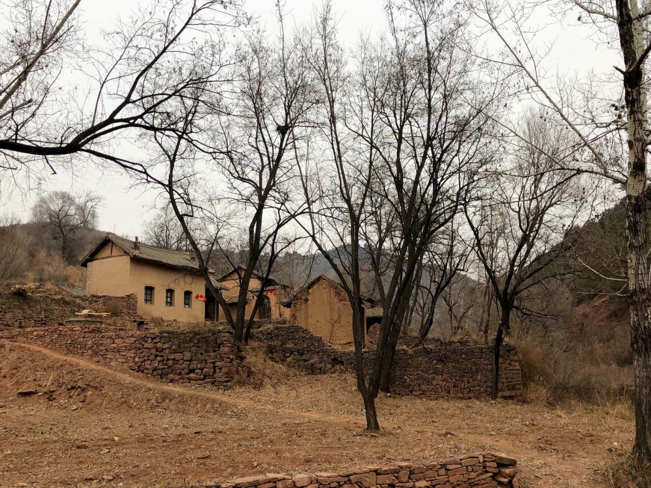 BIM建筑|与树和老土墙共生——军械库咖啡 / 三文建筑