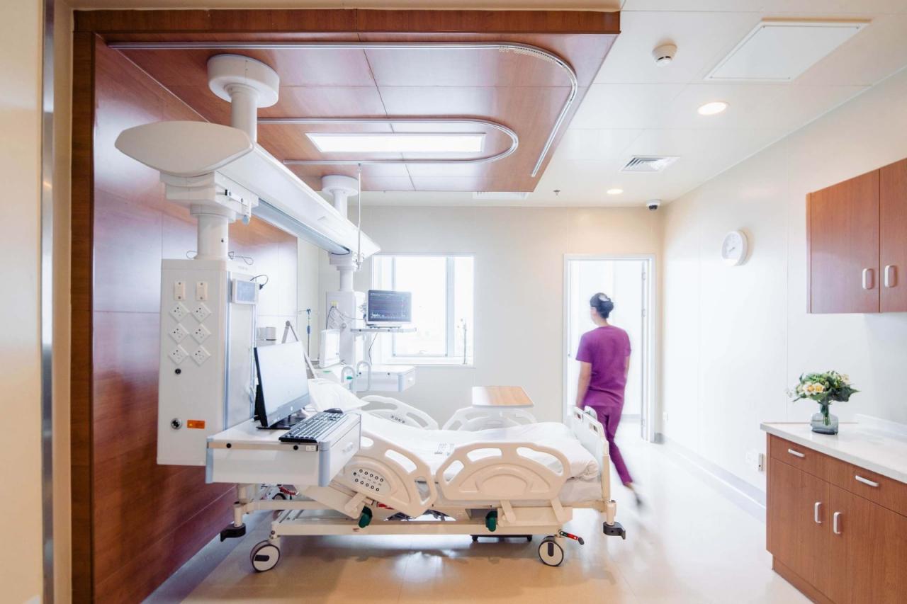 BIM建筑|合肥京东方医院 / HKS